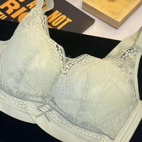 2238 Premium Minimize Bra For CD cup