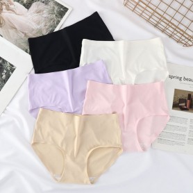 Seamless Panties 4113 Plus Size