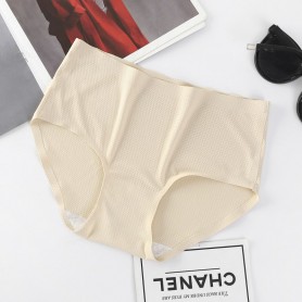 Seamless Panties 4113